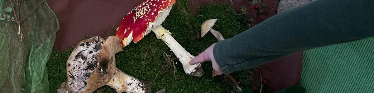 WhatsApp Image 2025-10-16 at 07.37.33 (6)